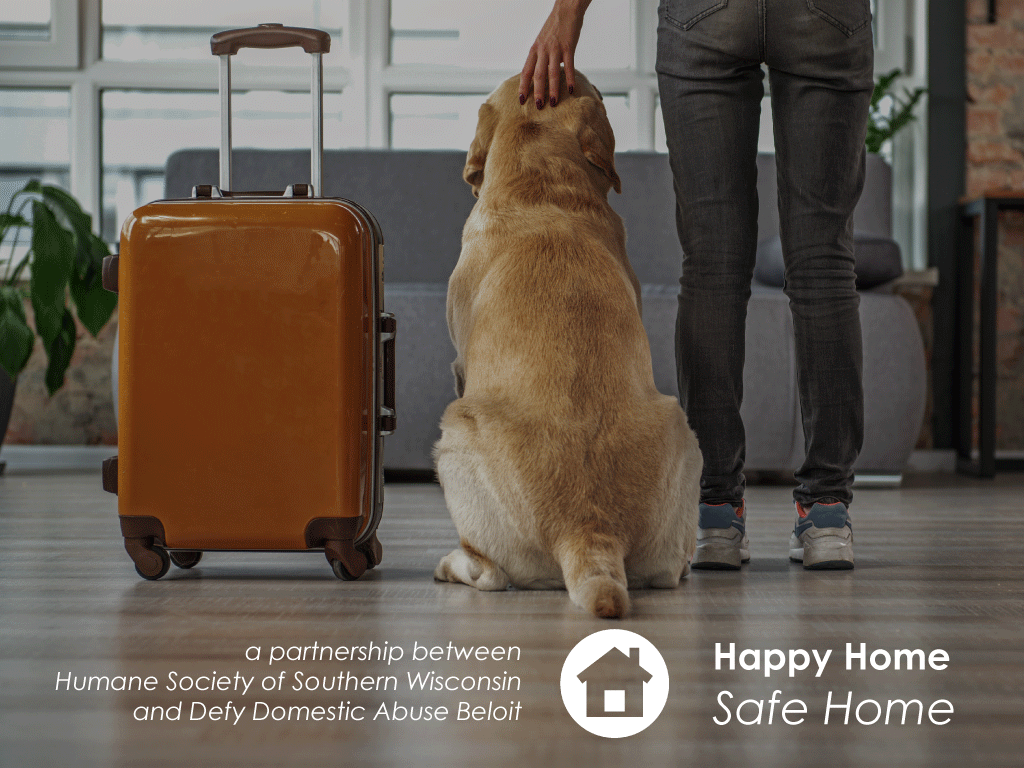 happy-home-safe-home