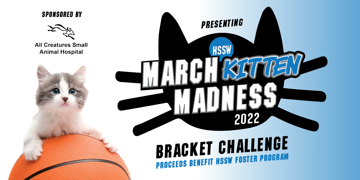 march-kitten-madness-2022