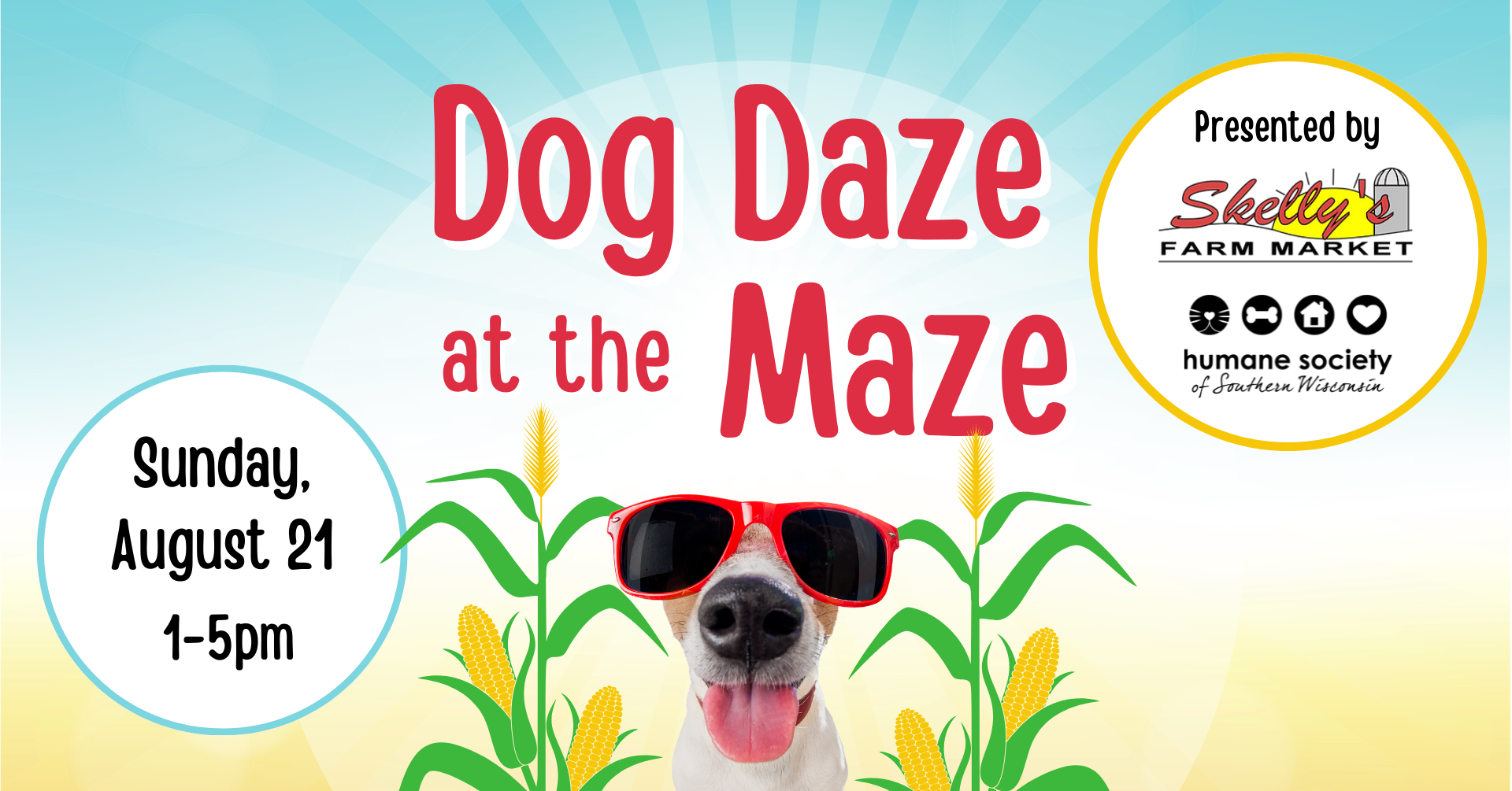 dog daze (4)