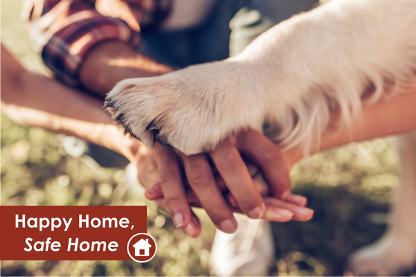 Happy Home Safe Home (1)