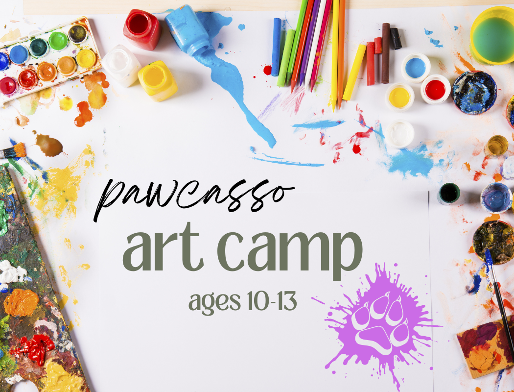 Pawcasso Art Camp 10-13