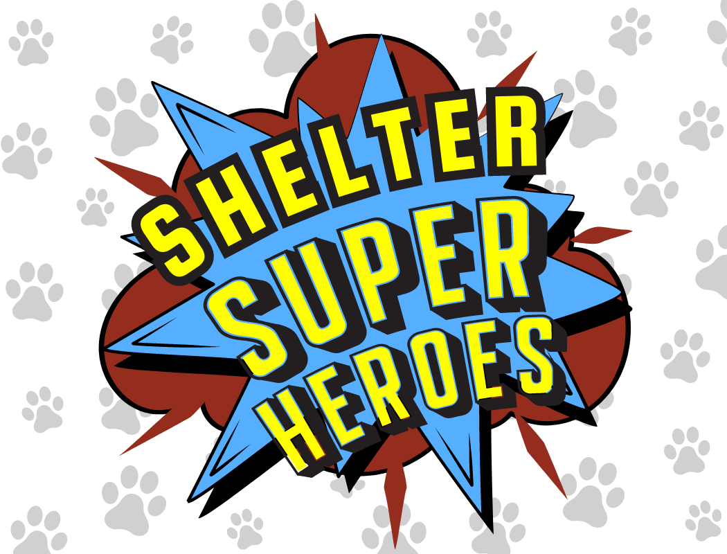 Shelter Superhero Camp Logo
