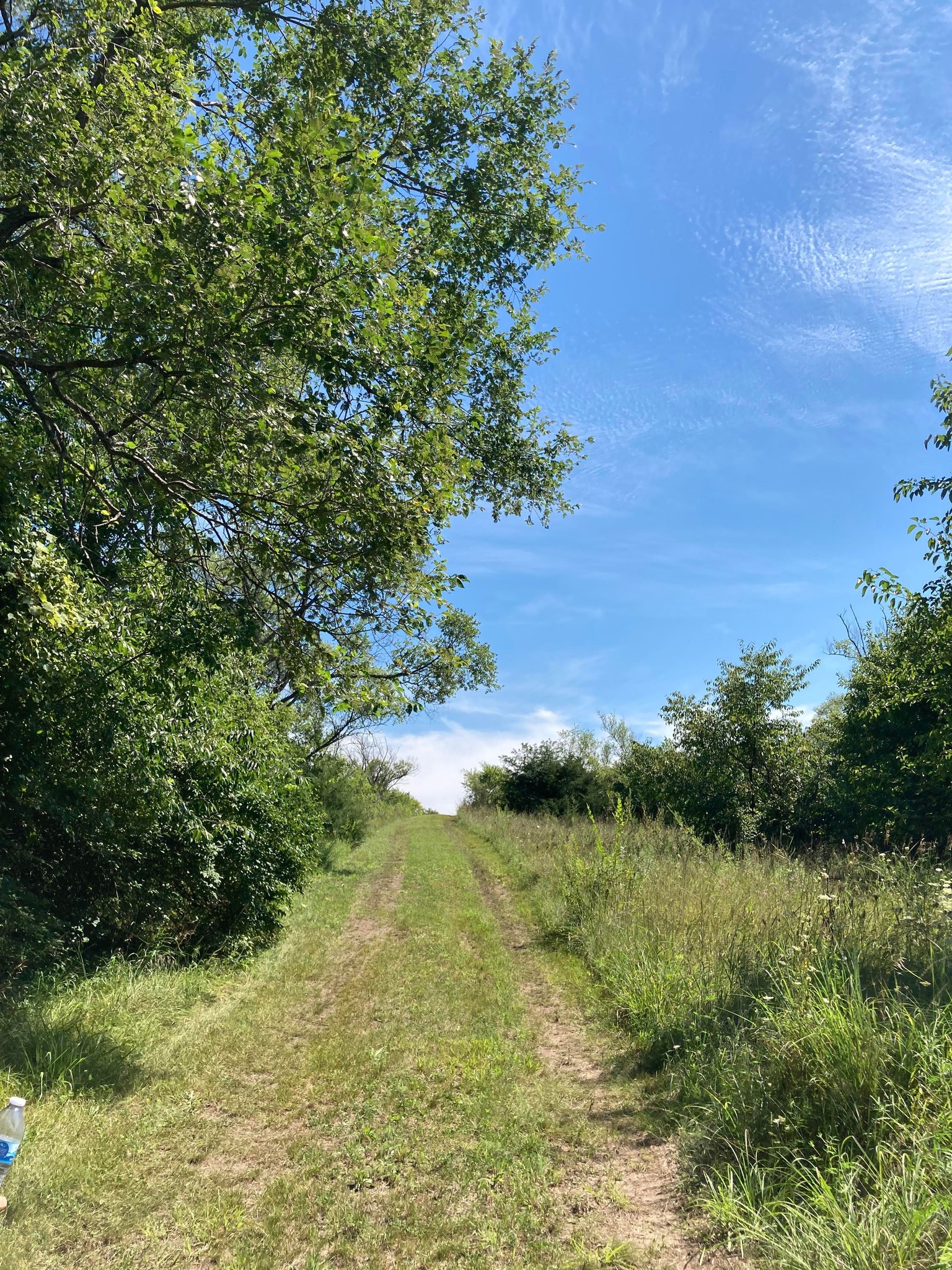 trails1
