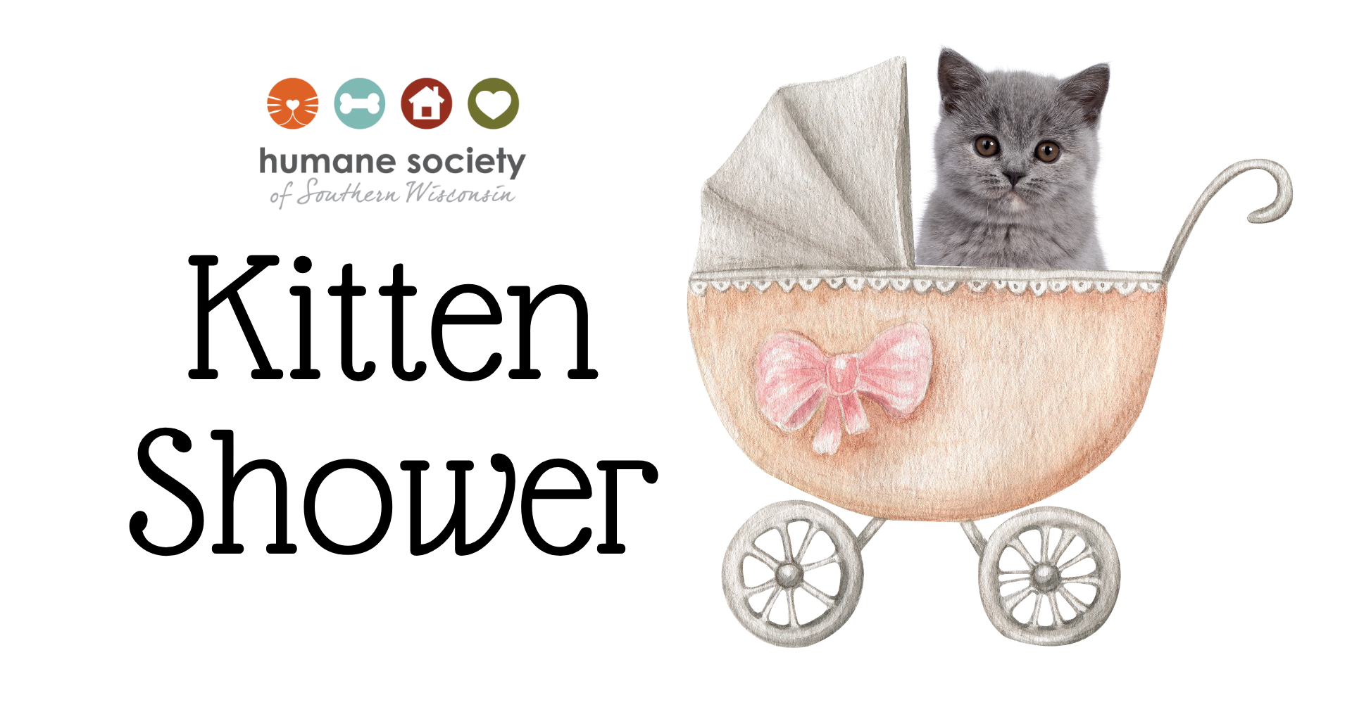 Kitten Shower Contest FB Event (1)