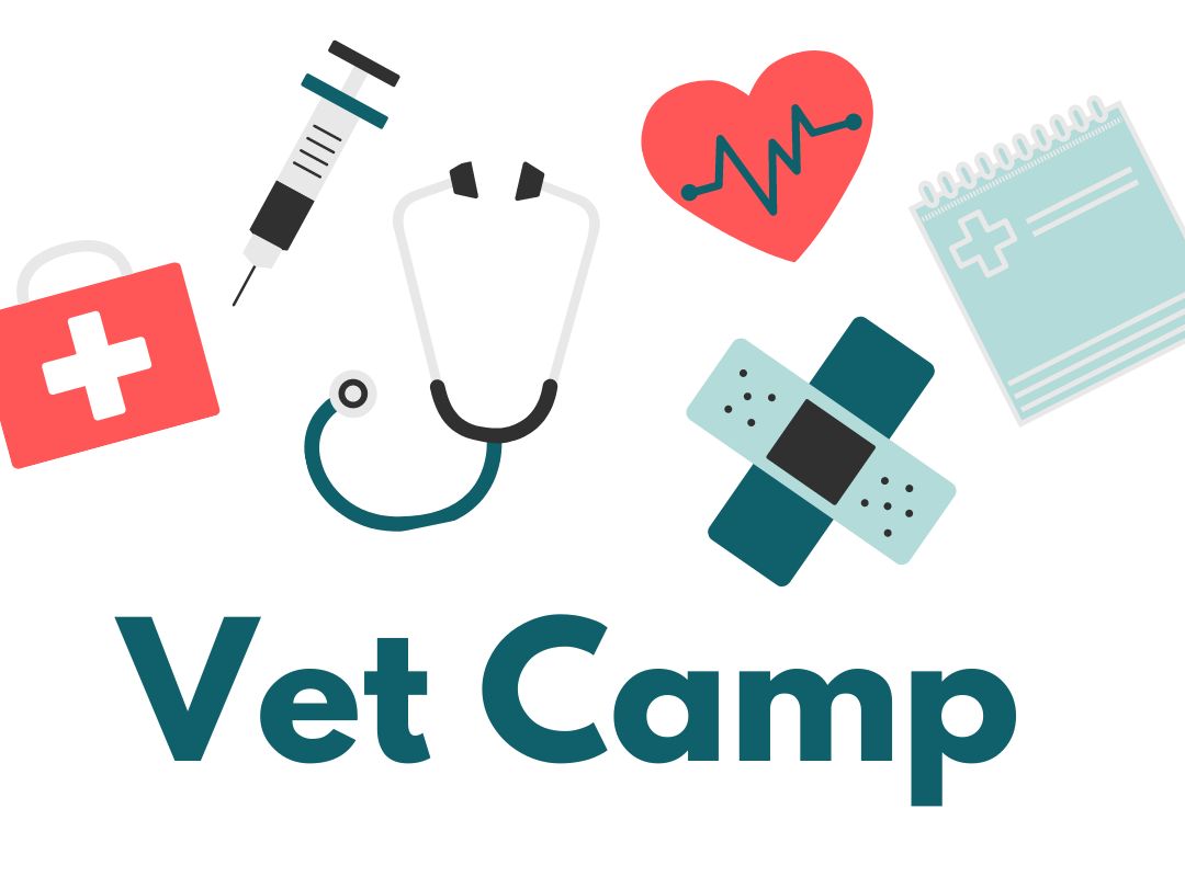 Vet Camp Logo