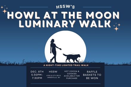 Howl at the Moon Website Photo