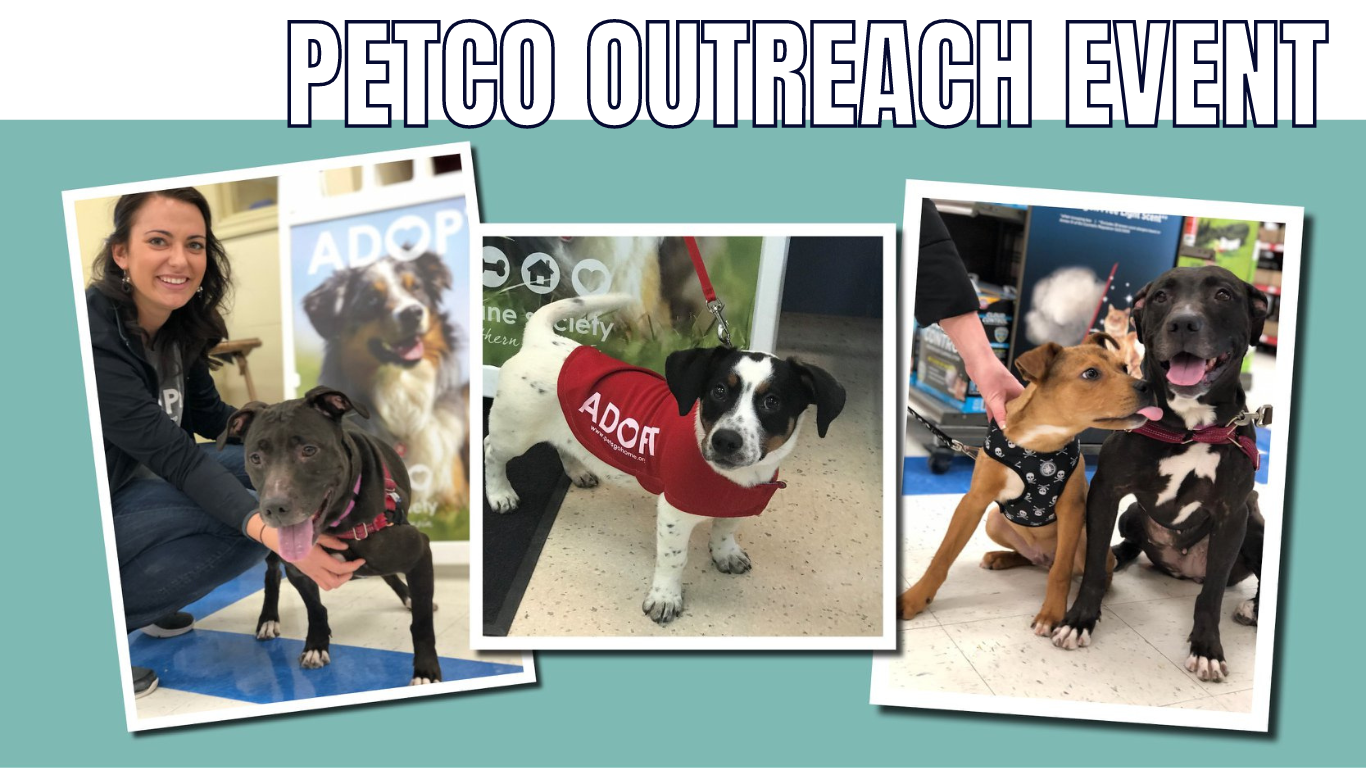 Petco Adoption Event