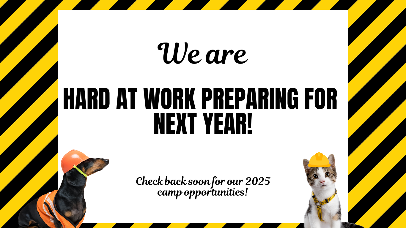 Camp Unleashed - Humane Society of Southern Wisconsin