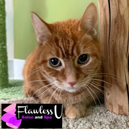 23312e1e-8846-459d-804c-a3b89567018c