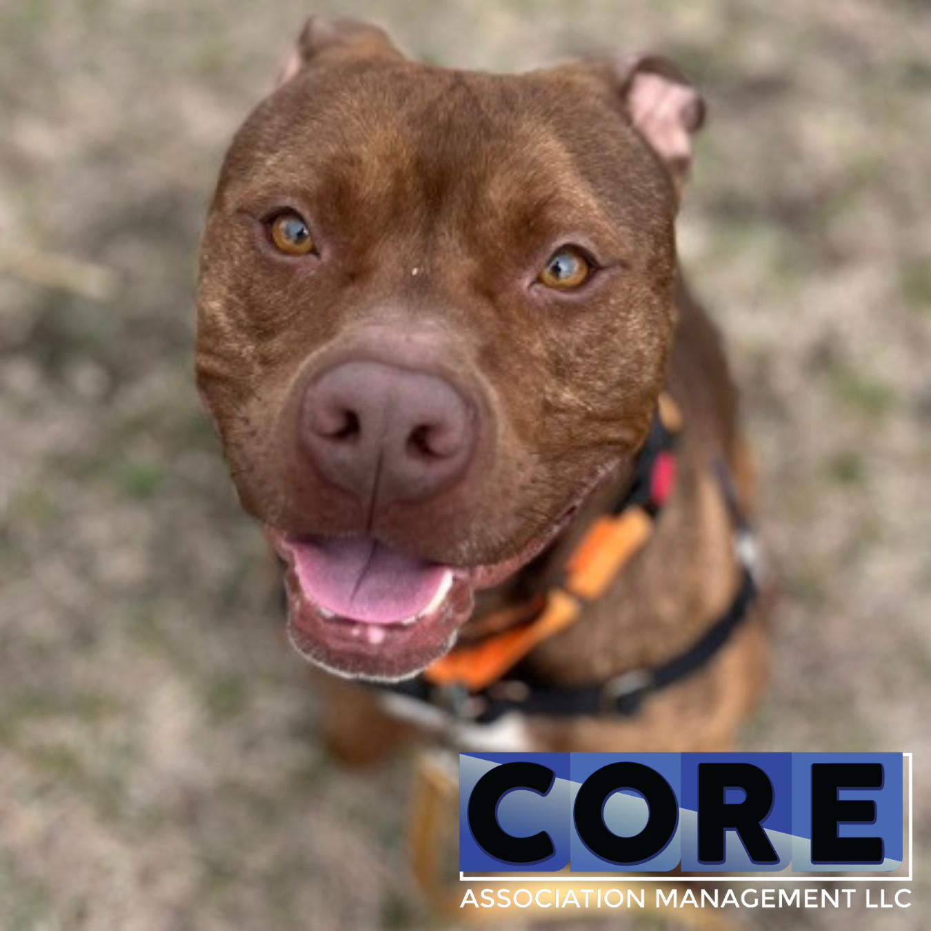 Core