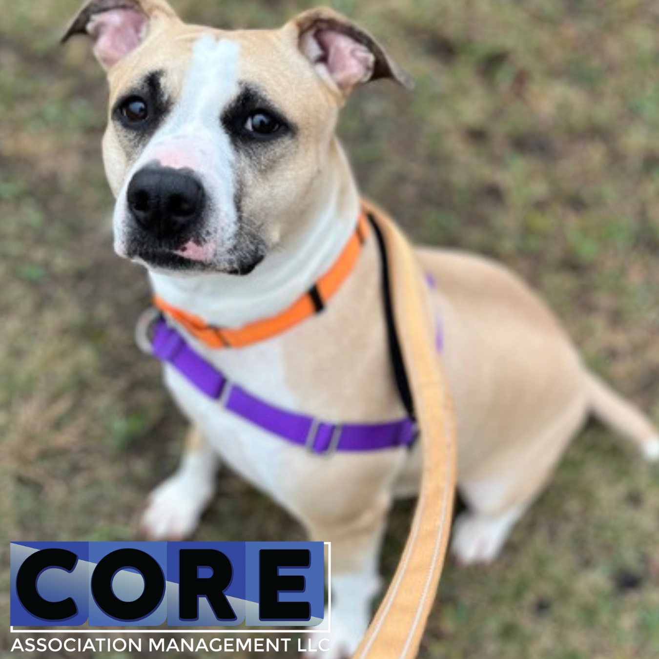 Core