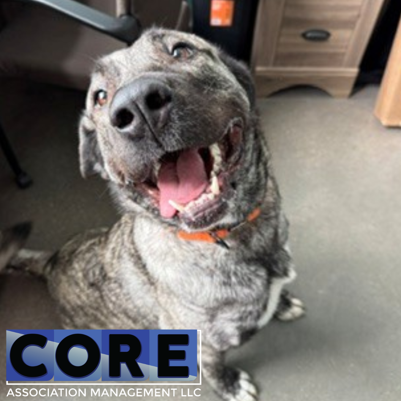 Core