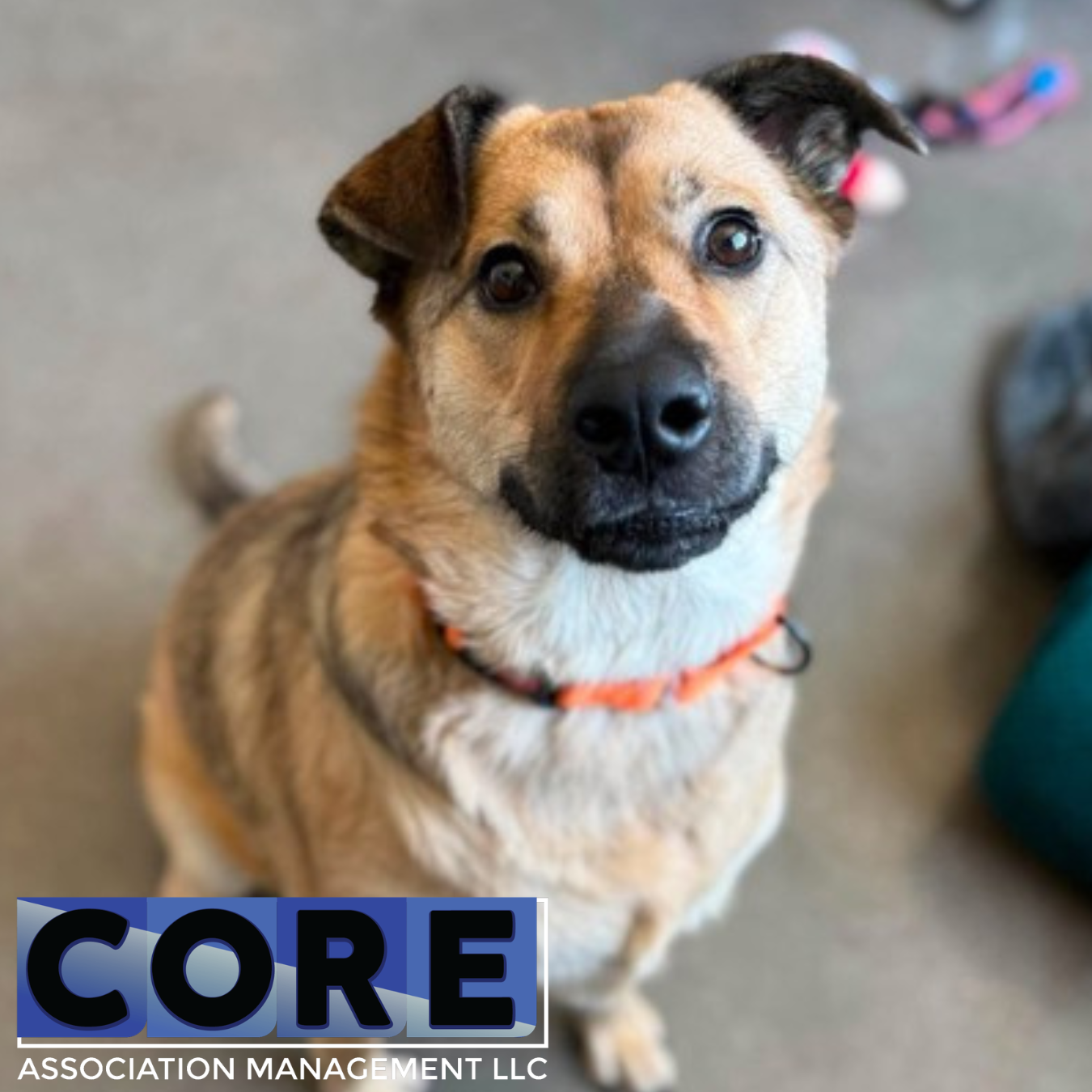 Core