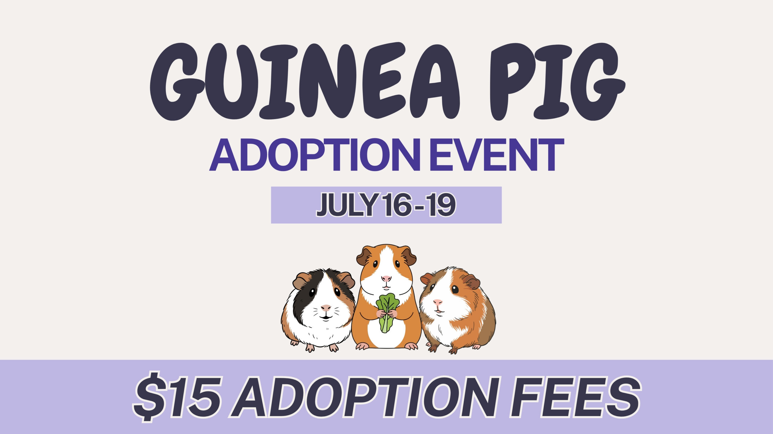 GUINEA PIG ADOPTION EVENT WEBSITE
