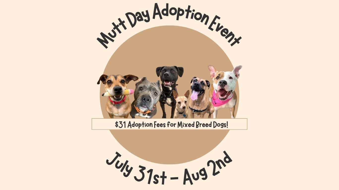 Mutt Day Adoption Event Website (1)