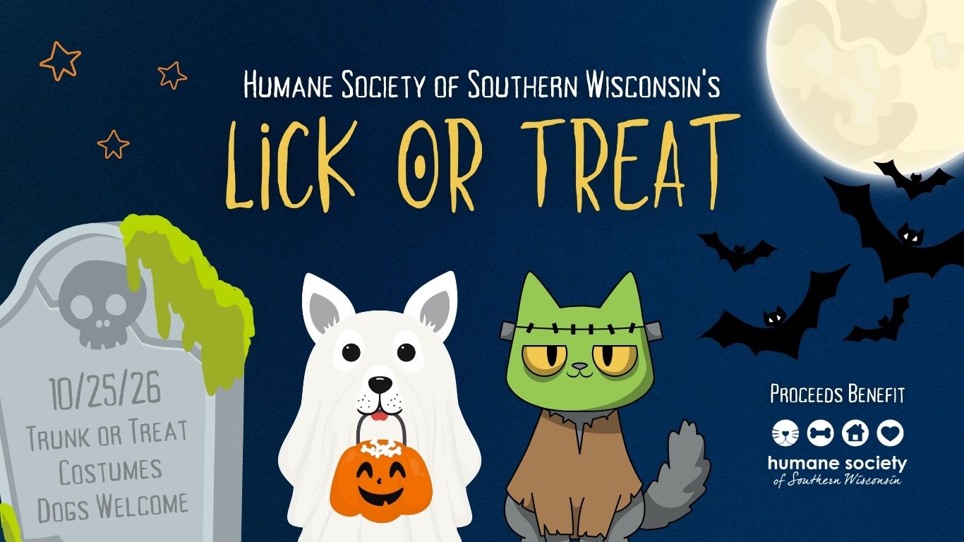 Lick or Treat - Website